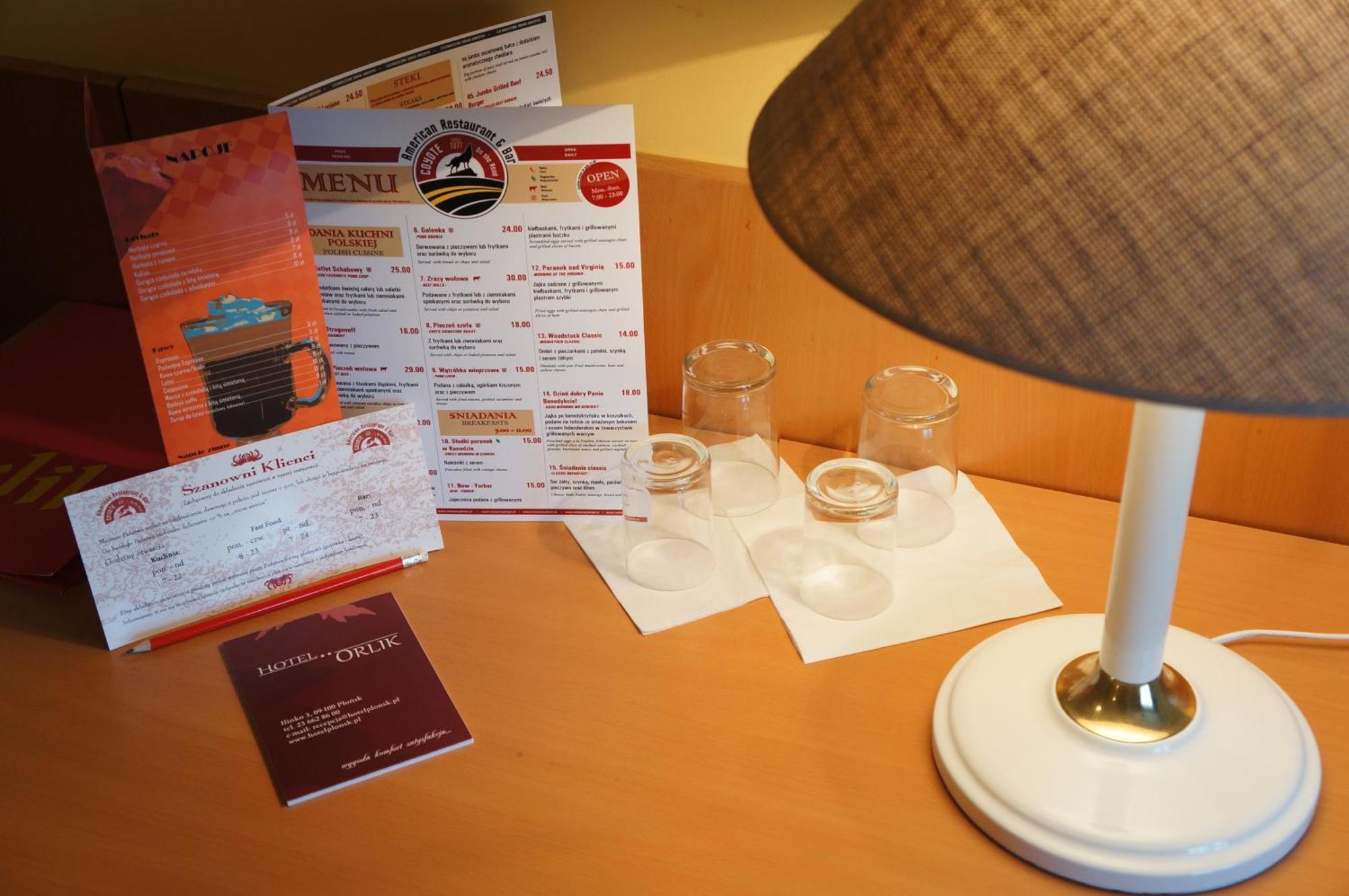 Hotel Orlik Płońsk エクステリア 写真